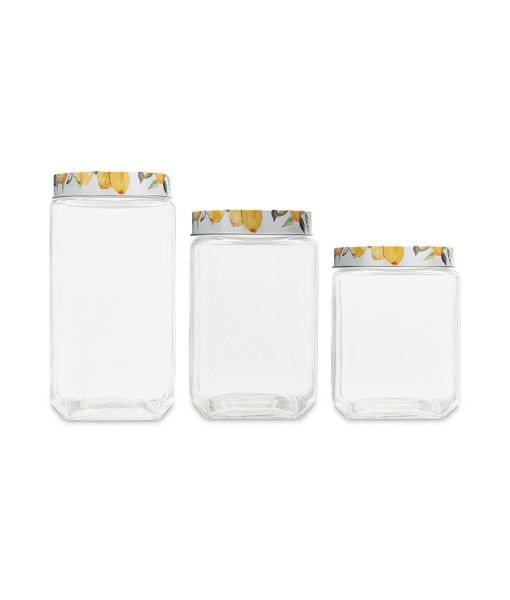 Meyer Lemons Square Glass Jars Set  3 Piece