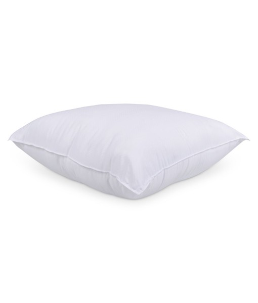 White 2-Pack Pillow  European  