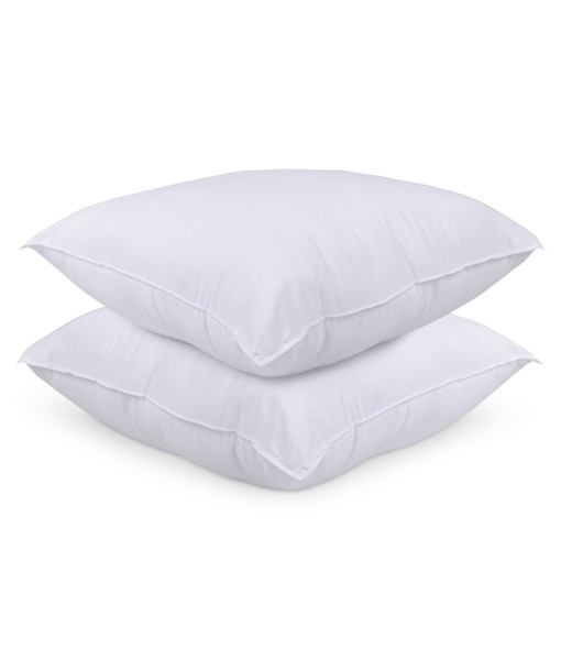 White 2-Pack Pillow  European  